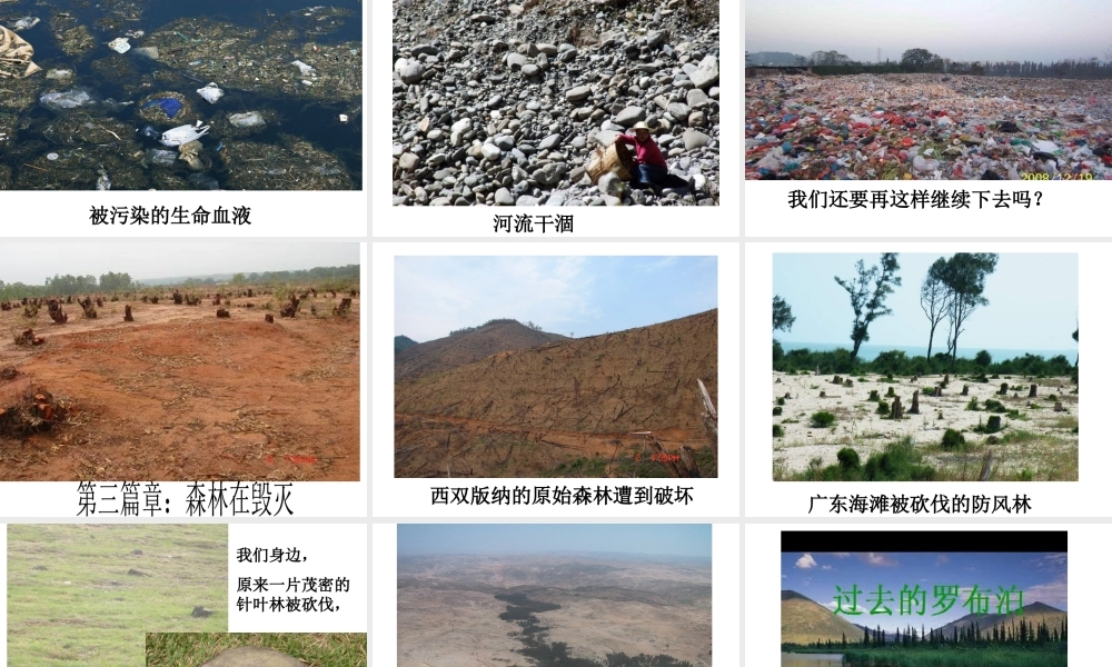 保护环境从我做起.ppt