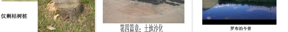 保护环境从我做起.ppt