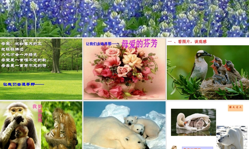 《母爱》主题班会课件.ppt