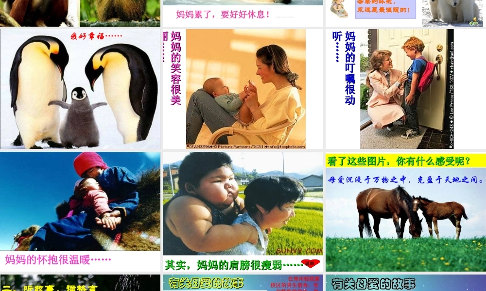 《母爱》主题班会课件.ppt