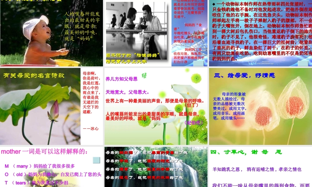《母爱》主题班会课件.ppt