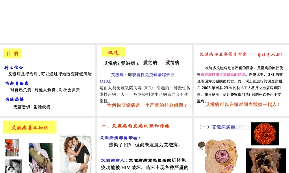 艾滋病基本知识B.ppt