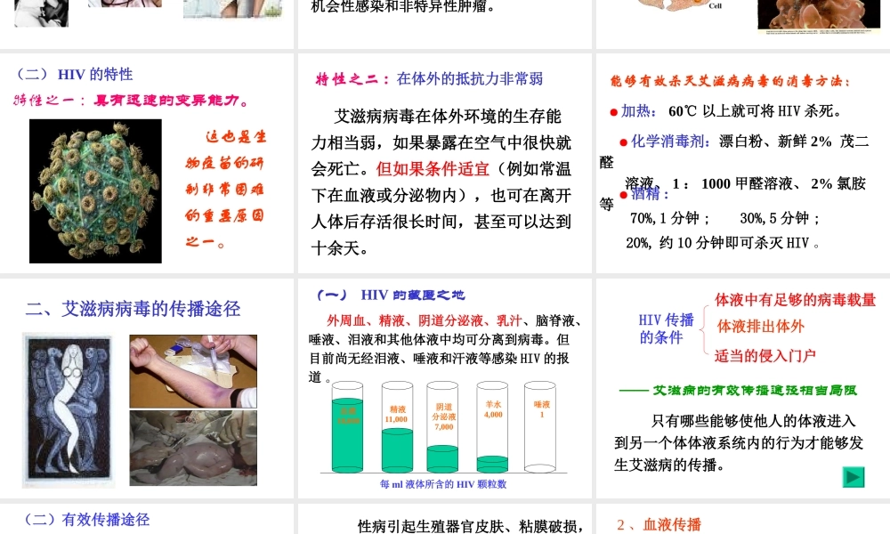 艾滋病基本知识B.ppt