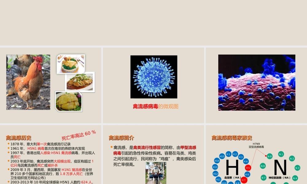 关注健康预防禽流感.ppt