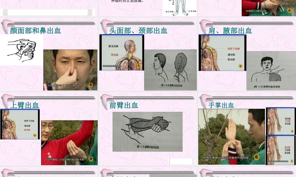 红十字会急救培训.ppt