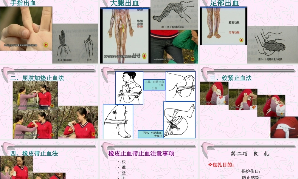 红十字会急救培训.ppt