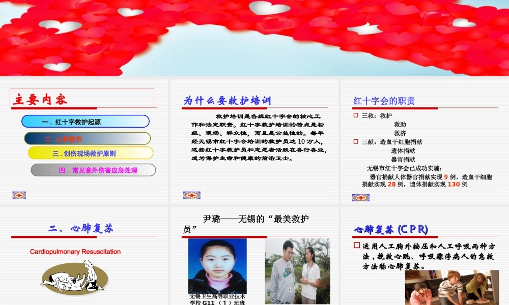 红十字会课件.ppt