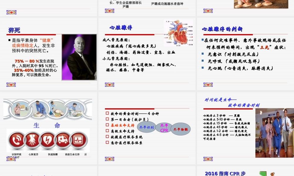 红十字会课件.ppt