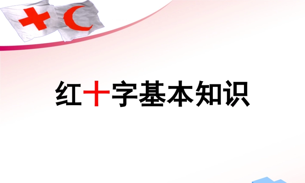 红十字基本知识.ppt