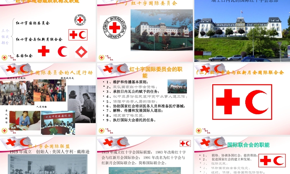 红十字基本知识.ppt
