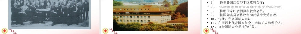 红十字基本知识.ppt
