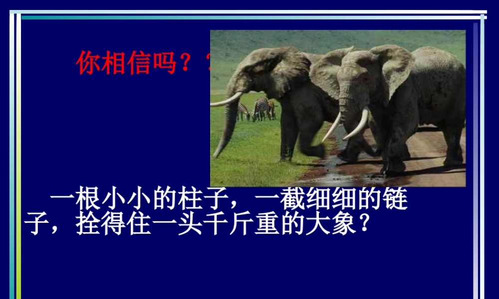 习惯养成主题班会ppt课件.ppt