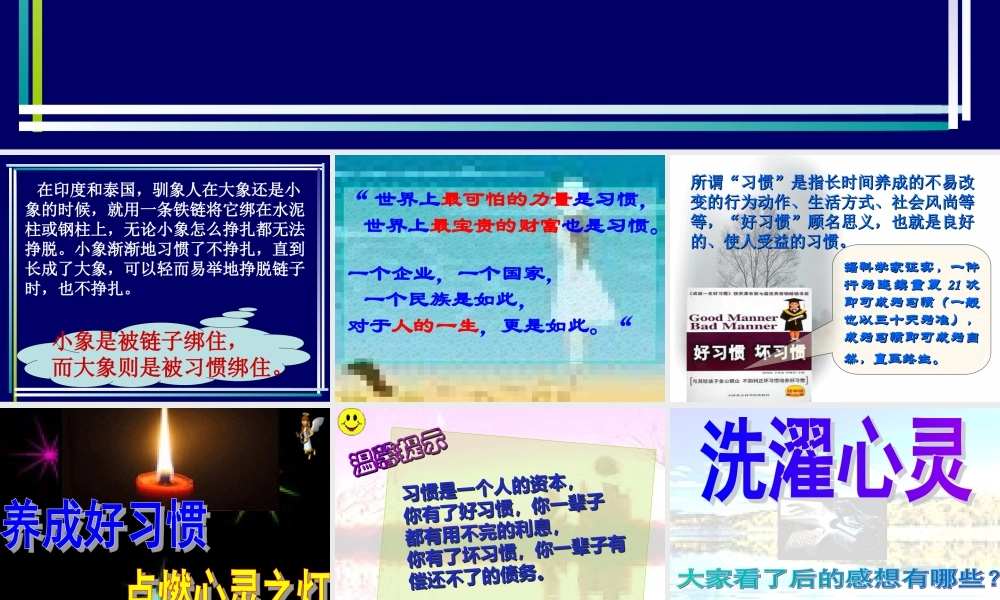 习惯养成主题班会ppt课件.ppt