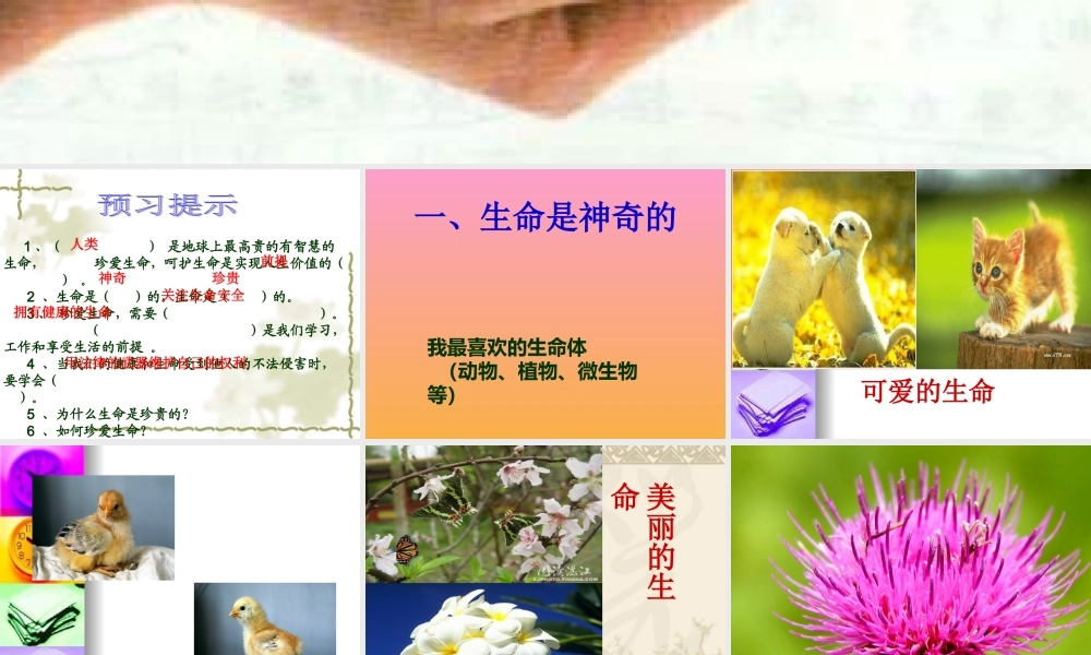 珍爱自己.ppt