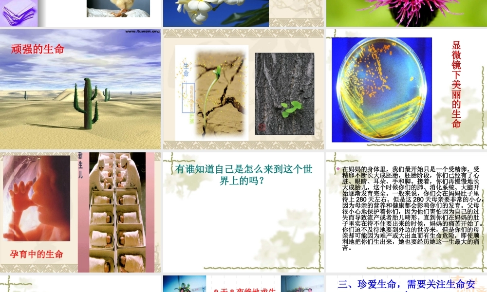 珍爱自己.ppt