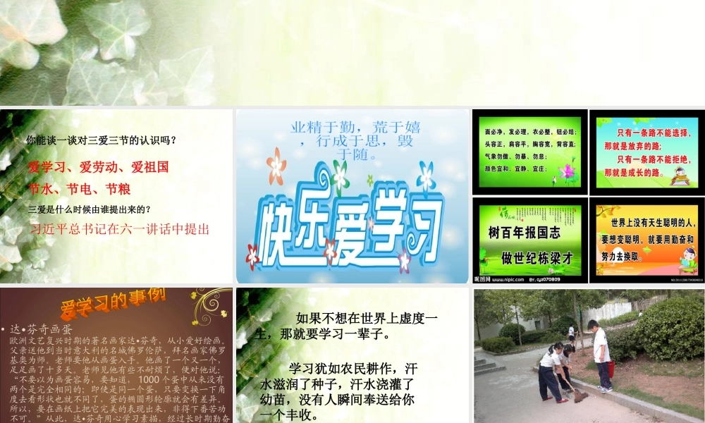 八年级 三爱三节主题班会 课件.ppt