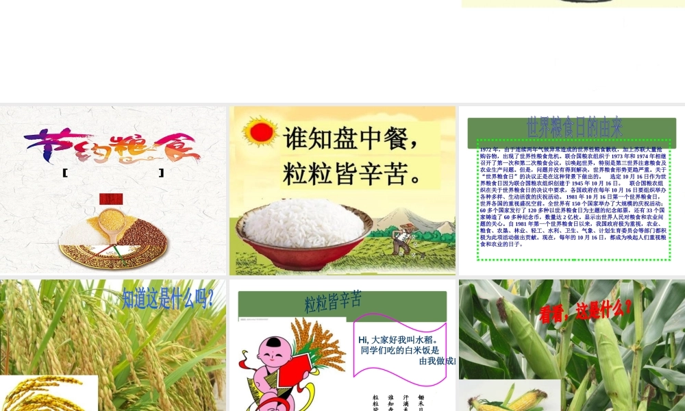 七年级 《世界粮食日-粒粒皆辛苦》主题班会（20张PPT）.pptx