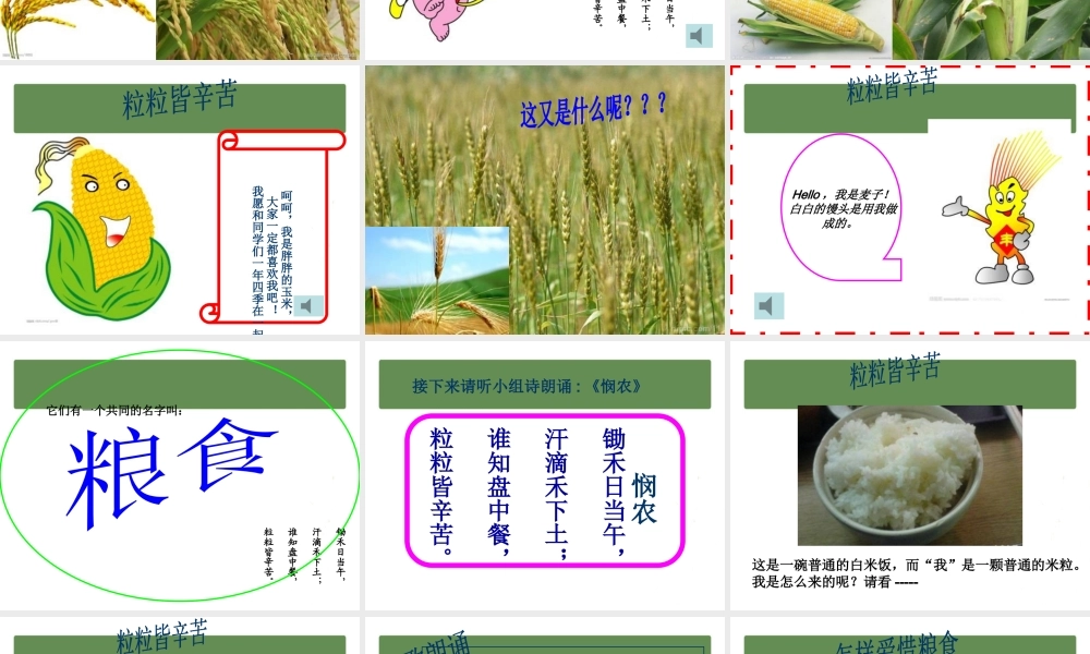 七年级 《世界粮食日-粒粒皆辛苦》主题班会（20张PPT）.pptx