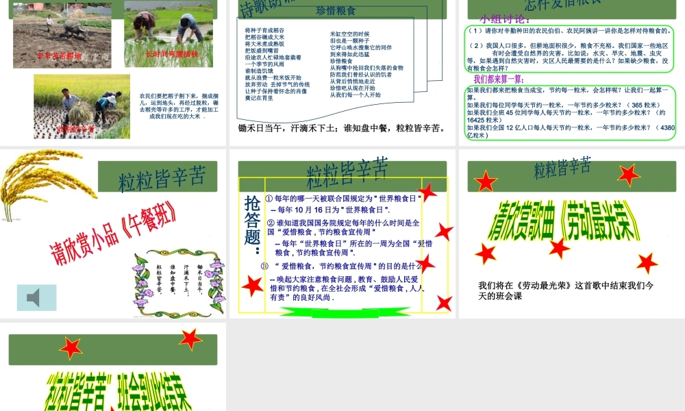七年级 《世界粮食日-粒粒皆辛苦》主题班会（20张PPT）.pptx