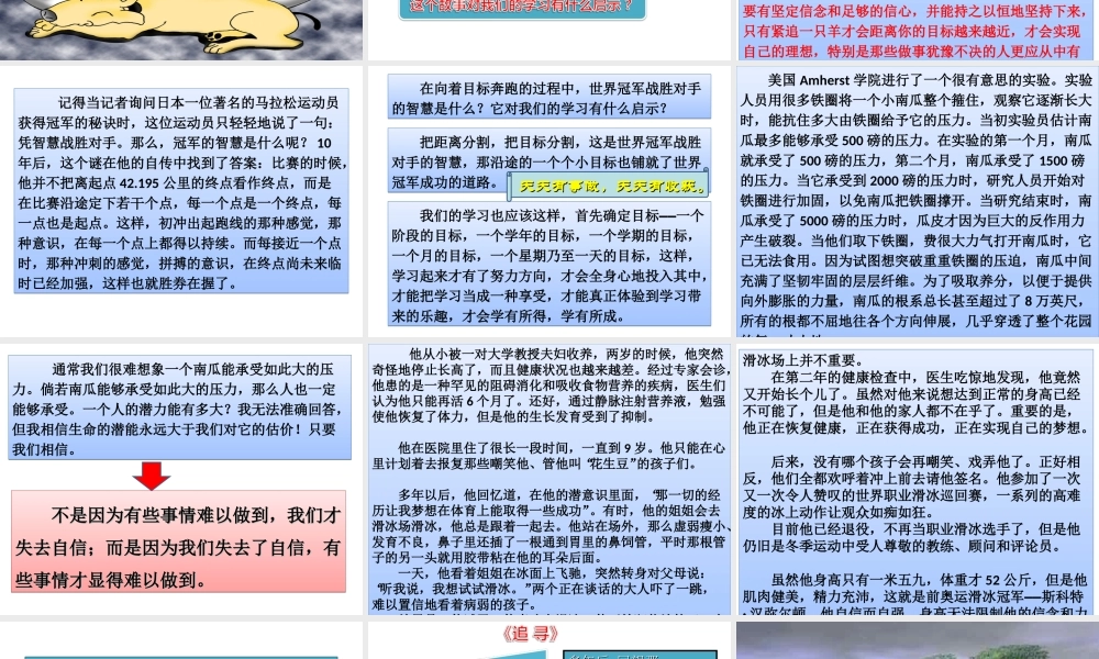 高三向目标奔跑.ppt