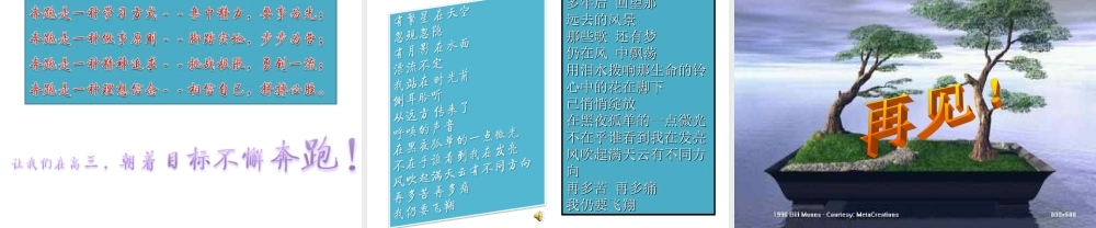 高三向目标奔跑.ppt