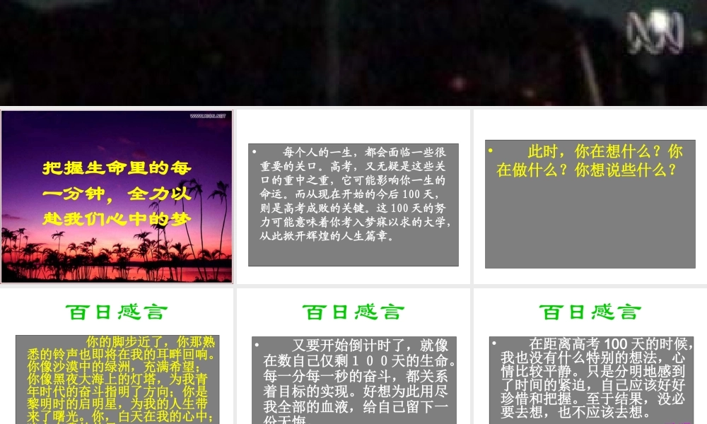 100天流星般的灿.ppt