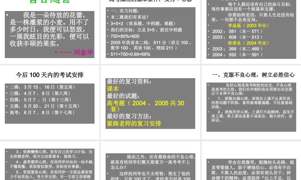 100天流星般的灿.ppt
