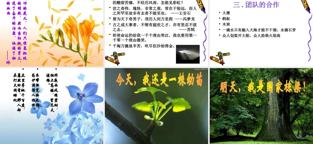 成功之道.ppt