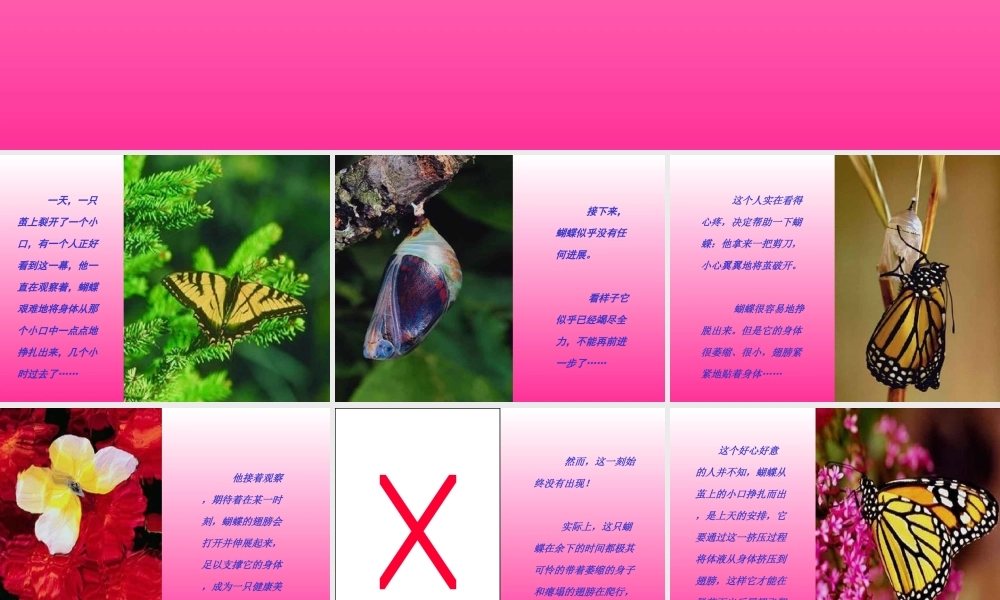 蝴蝶启示.ppt