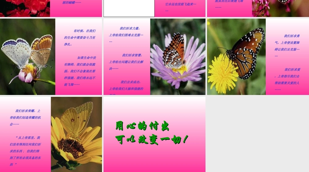 蝴蝶启示.ppt