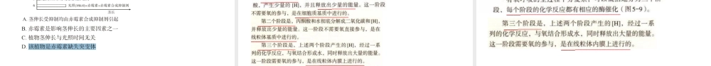 2022年高考全国甲卷生物试题评析及复习策略.pptx