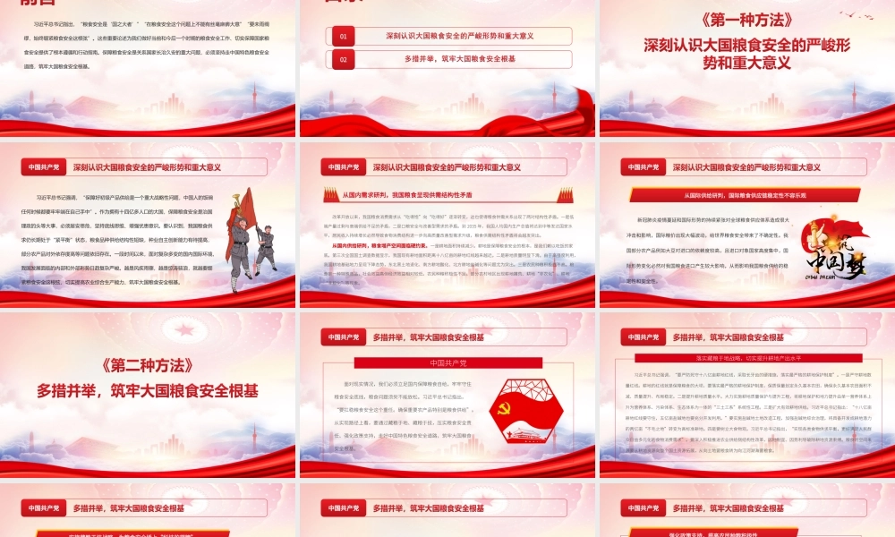 坚持走中国特色粮食安全道路筑牢大国粮食安全根基PPT坚持走中国特色粮食安全道路PPT课件（带内容）.ppt