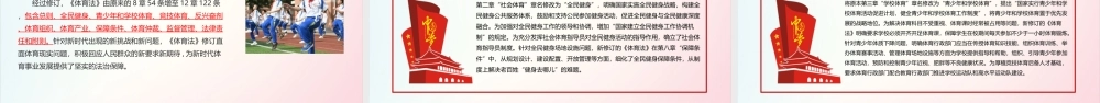 2022年《体育法》修订PPT.ppt