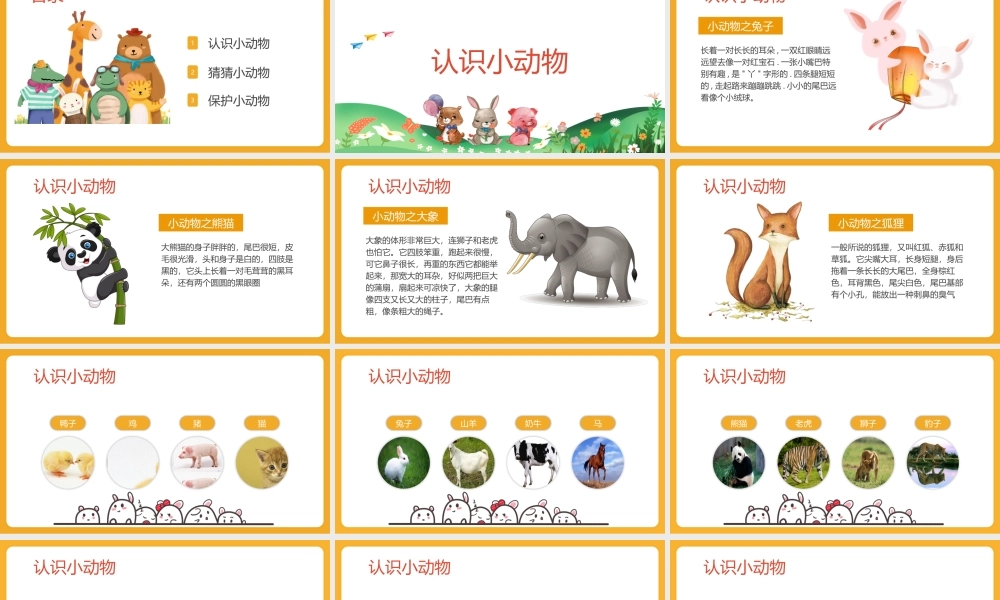 幼儿园教学认识动物PPT课件（带内容）.pptx