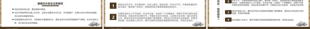褐色简约汛期自救常识PPT模板宣传PPT动态PPT.pptx