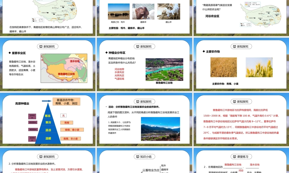 人教版八年级地理下册第五单元《青藏地区-自然特征与农业2》PPT课件.pptx
