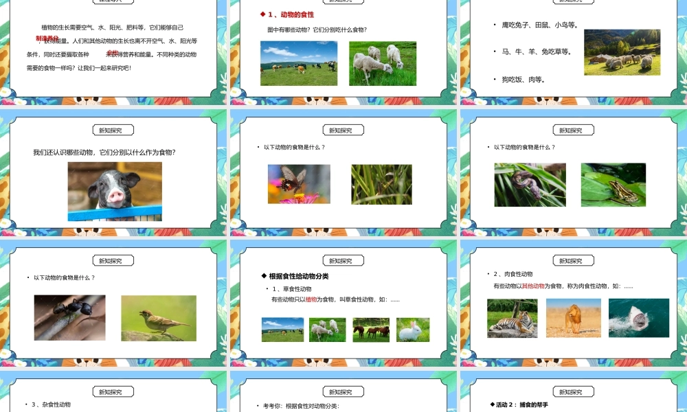 人教版三年级科学上册第二单元《动物的生活-动物的食物》PPT课件.pptx