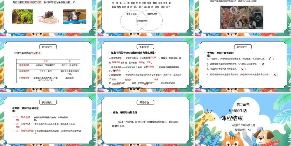 人教版三年级科学上册第二单元《动物的生活-动物的食物》PPT课件.pptx