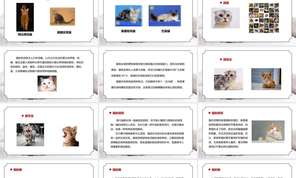 人教版三年级科学上册第一单元《身边的动物-和动物交朋友》PPT课件.pptx