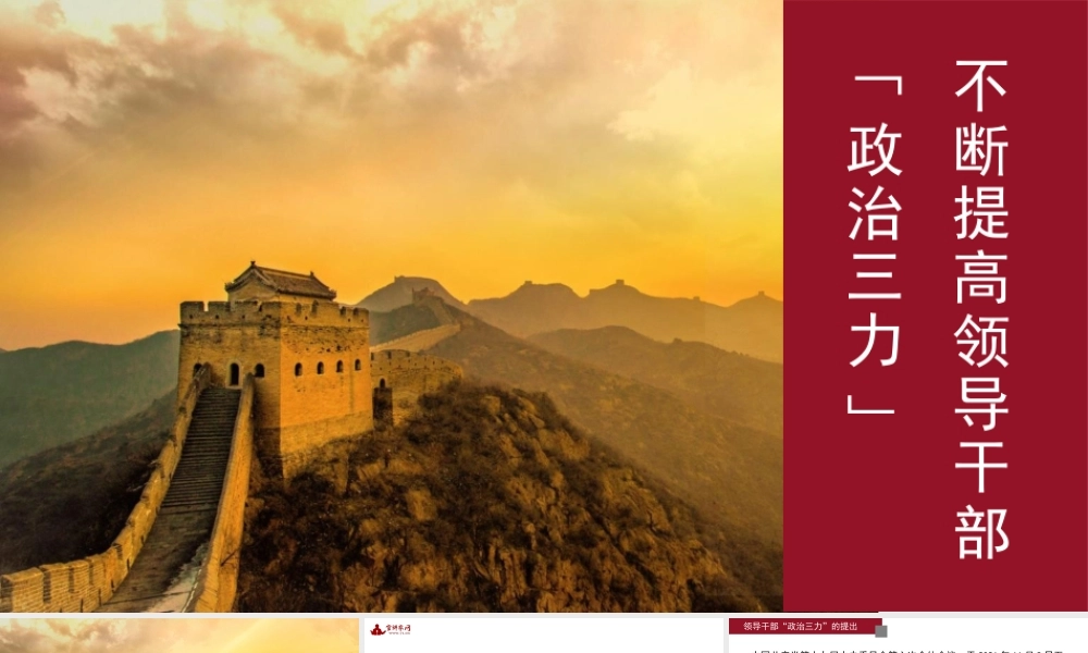 领导干部“政治三力”主题党课PPT.pptx