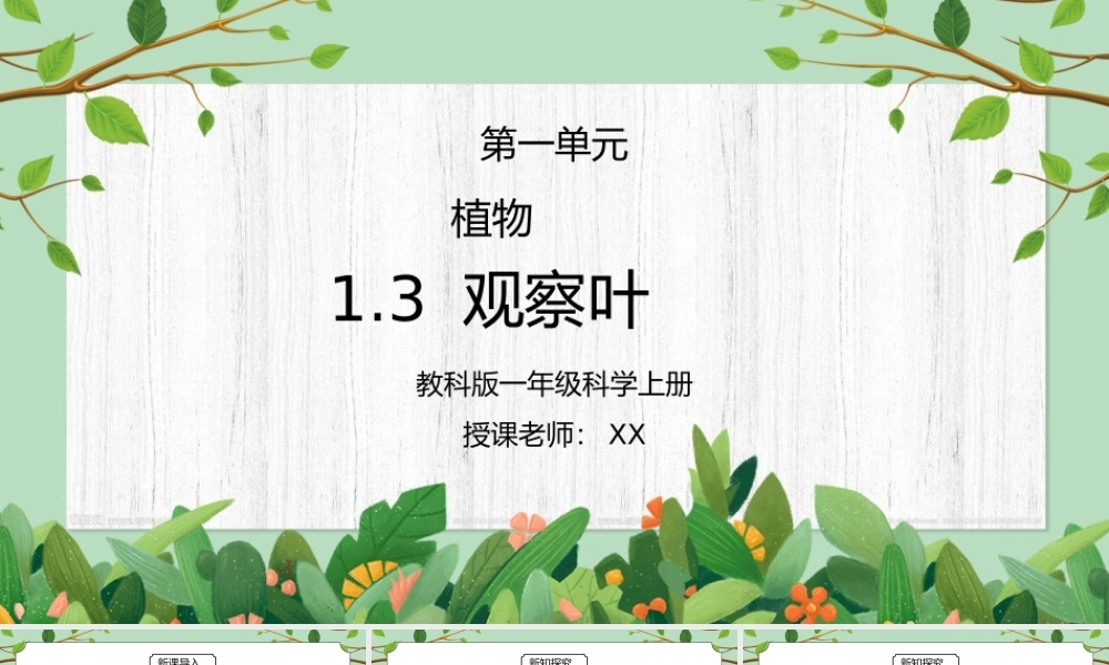 教科版一年级科学上册第一单元《植物-观察叶》PPT课件.pptx