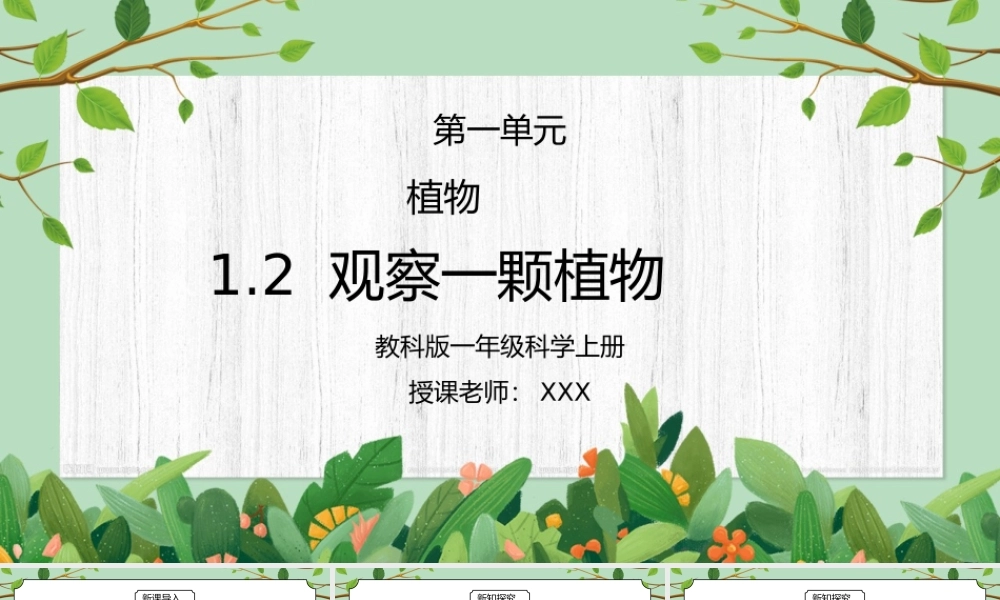 教科版一年级科学上册第一单元《植物-观察一颗植物》PPT课件.pptx