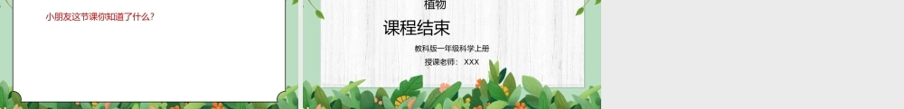 教科版一年级科学上册第一单元《植物-观察一颗植物》PPT课件.pptx
