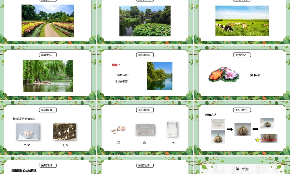 教科版一年级科学上册第一单元《植物-我们知道的植物》PPT课件.pptx