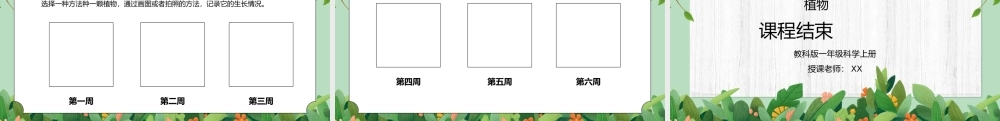 教科版一年级科学上册第一单元《植物-我们知道的植物》PPT课件.pptx