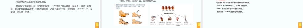 2022糖尿病健康讲座PPT糖尿病知识讲座PPT课件（带内容）.ppt
