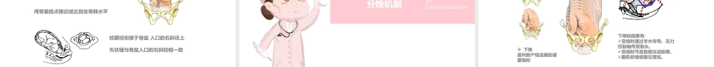 2022分娩期妇女护理产后护理母婴护理PPT课件（带内容）.ppt