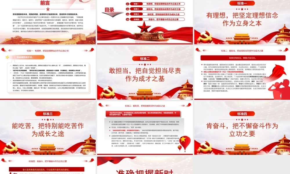 准确把握新时代好青年标准PPT新时代好青年的“四条标准”新时代好青年的“时代肖像”PPT课件（带内容）.ppt