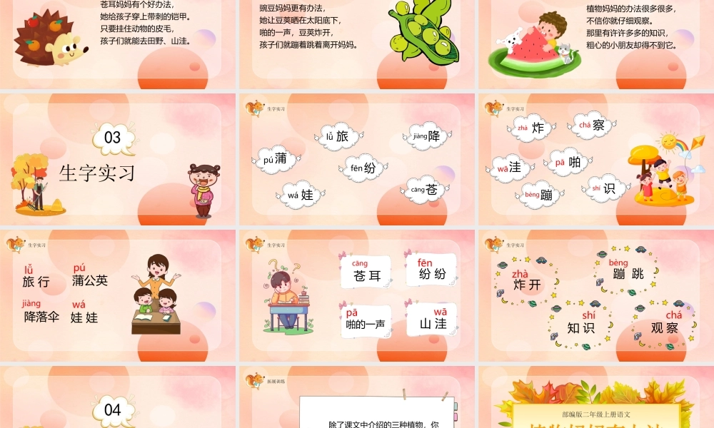 2022人教版小学二年级语文上册《植物妈妈有办法》PPT课件（带内容）.ppt