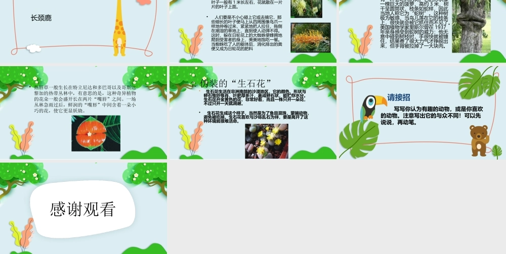 2022人教版小学二年级语文上册《有趣的动物》PPT课件（带内容）.pptx